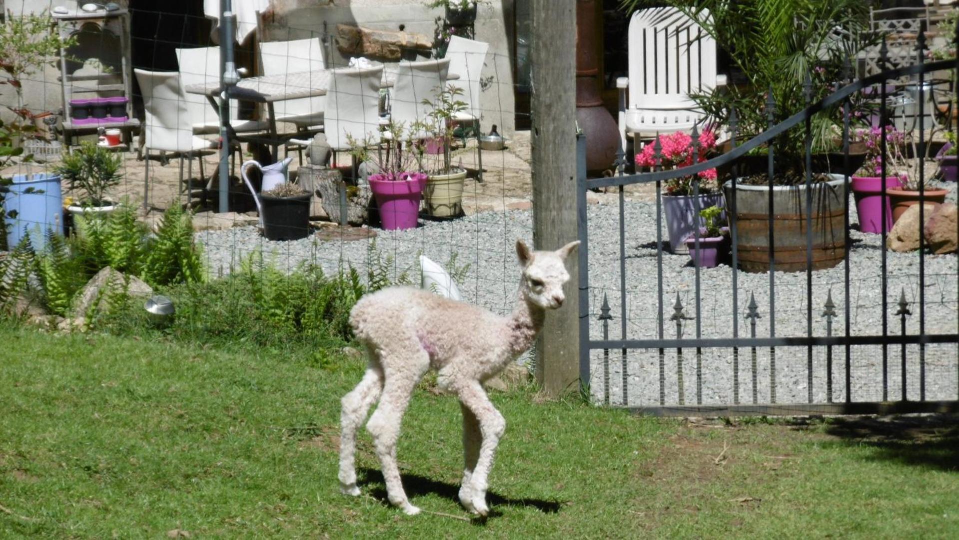 Rancon Lazy Days Bed & Breakfast エクステリア 写真