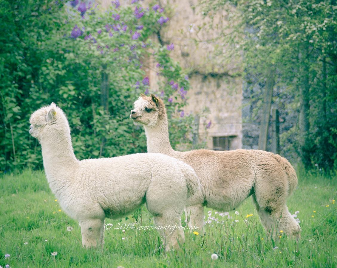 Rancon Lazy Days Bed & Breakfast エクステリア 写真
